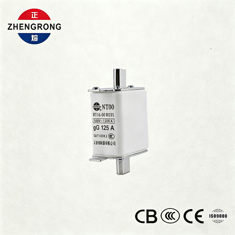 Cầu chì công suất ngắt NT00 125A - Liên kết cầu chì gG gốm 500V 120kA