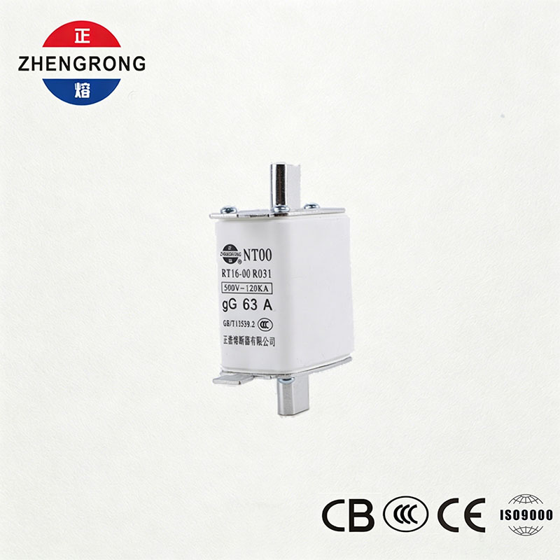 Công suất cắt cao Cầu chì NT00 63A - Liên kết cầu chì gG gốm 500V 120kA