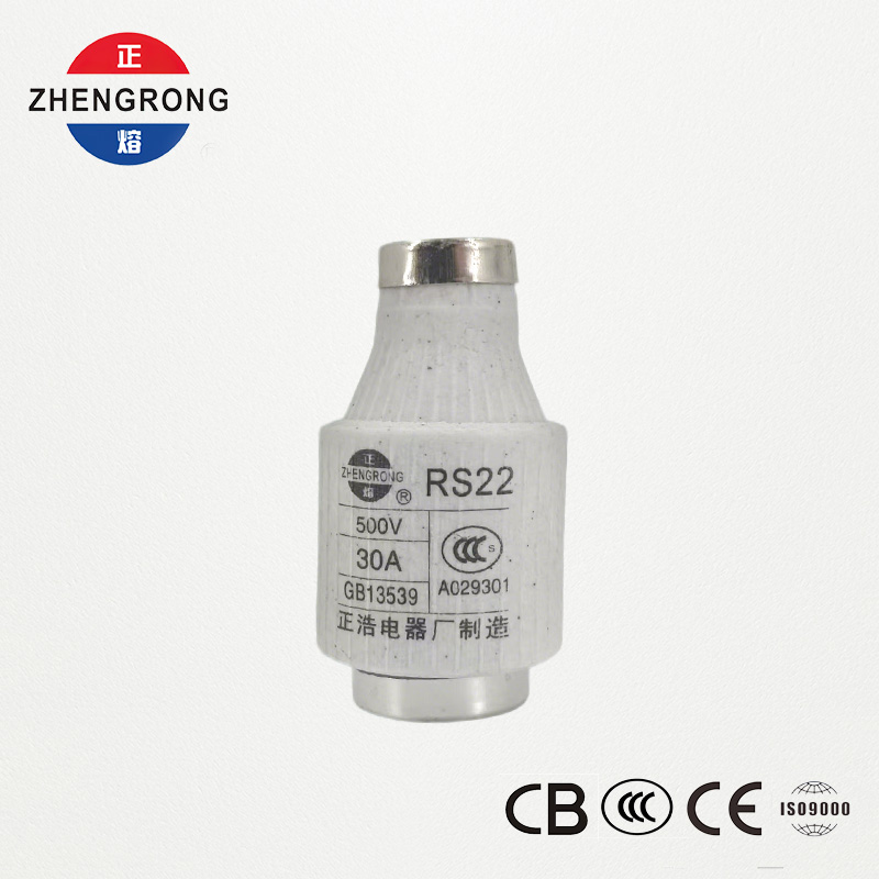 Cầu chì loại trục vít tác động nhanh RS22 30A 500V | Bảo vệ chất bán dẫn