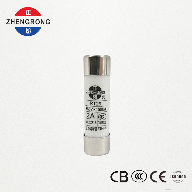 Bán buôn cầu chì tùy chỉnh 8,5 * 31,5 R014 2A